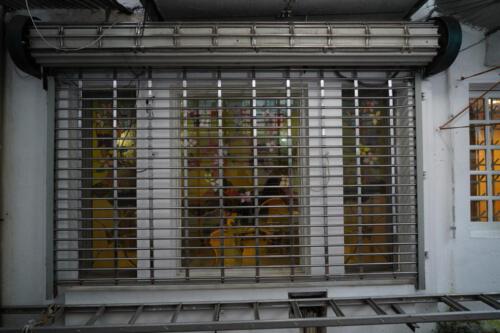 PHOTO-2022-04-21-18-43-56_10